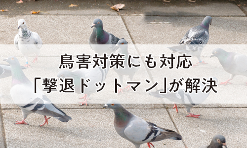 こだま建設株式会社｜豊明市｜耐震工事・リフォーム・修繕工事・注文住宅